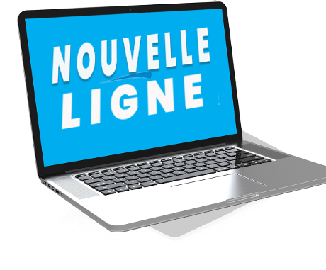 lyon payer site internet